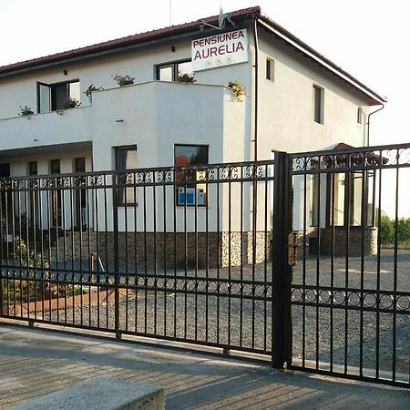 Pensiunea Aurelia Siria Esterno foto