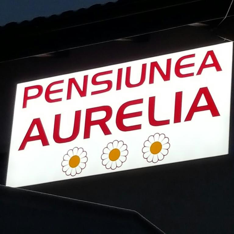 Pensiunea Aurelia Siria Esterno foto